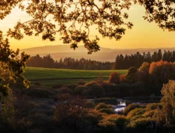 Rekomendasi Tempat Wisata Alam di Tangerang Selatan Paling Seru!