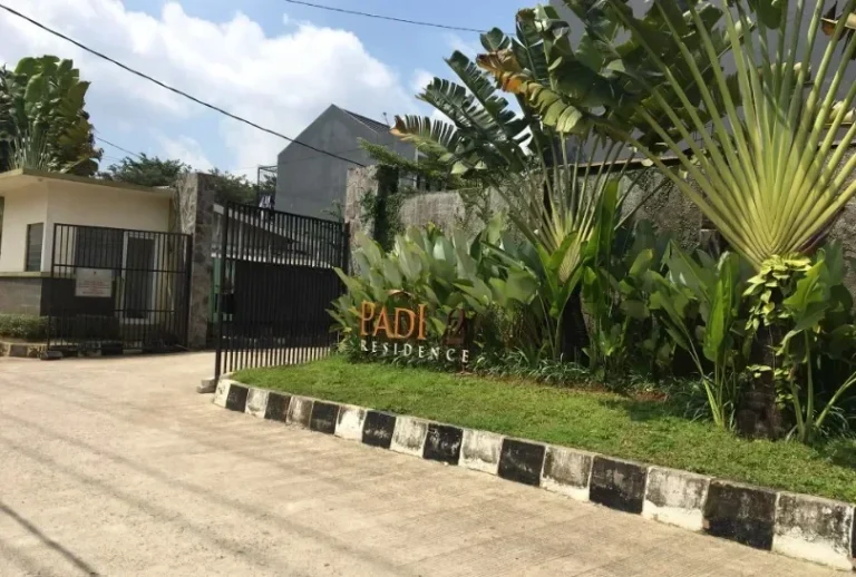 Bocah Hanyut di Padi 2 Residence