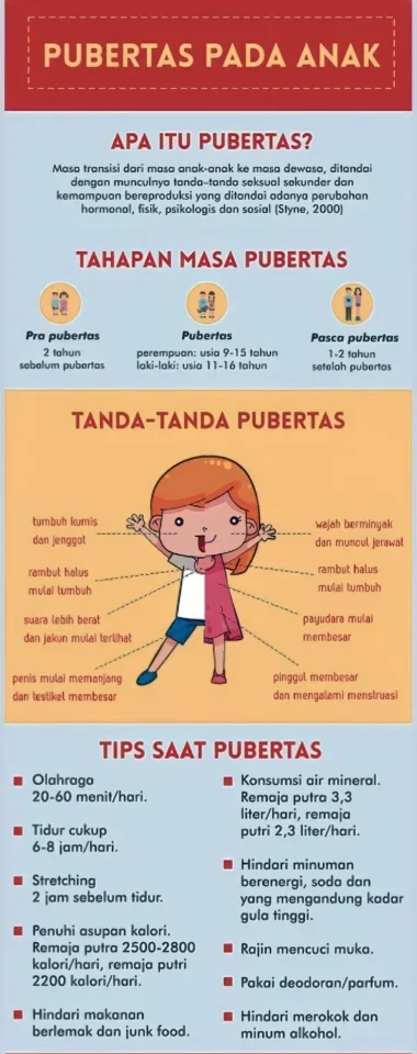 Poster Pubertas: Perubahan Fisik Laki-Laki dan Perempuan