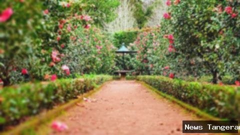 Bogor Gratis: 7 Tempat Wisata Murah Buat Liburan!