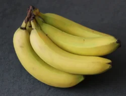 Manfaat Pisang: Buah Murah Meriah dengan Segudang Khasiat untuk Kesehatan