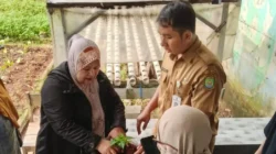 Dinas Ketahanan Pangan Kota Tangerang Giatkan Pembinaan KWT untuk Wujudkan Kemandirian Pangan
