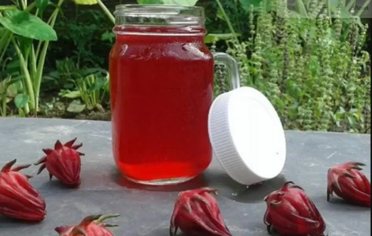 Sirup Rosella Oleh-Oleh Khas Tangerang