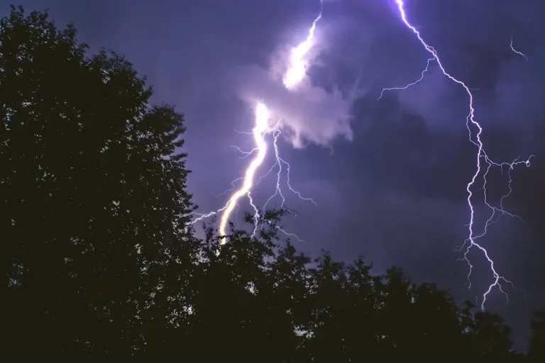 Capture of a powerful lightning storm illuminating the night sky, with silhouettes of trees.