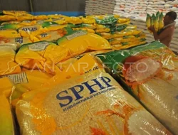 Bantuan Beras Tuntas di Tangerang: Warga Auto Senyum, Siap-siap Ada Lagi Sampai Akhir Tahun!