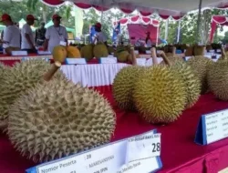 Beli Durian Murah Malah Dihina ‘Miskin’? Penjual Thailand Ini Bikin Netizen Geram dan Serukan Boikot!