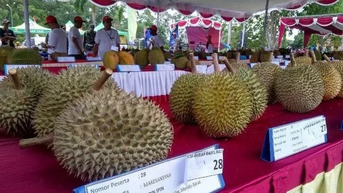 Beli Durian Murah Malah Dihina ‘Miskin’? Penjual Thailand Ini Bikin Netizen Geram dan Serukan Boikot!