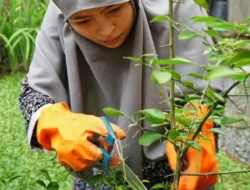 Bikin Melongo! 5 Artis Ini Punya Kebun Impian, Panen Sayur Buah Segar Tiap Hari!