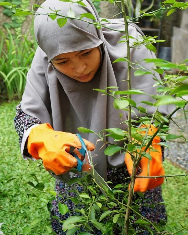 Bikin Melongo! 5 Artis Ini Punya Kebun Impian, Panen Sayur Buah Segar Tiap Hari!