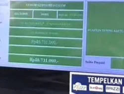 Bikin Melongo! Pasangan Ini Jual Kepiting Raja di Kaki Lima, Omzetnya Rp 48 Juta Secepat Kilat!