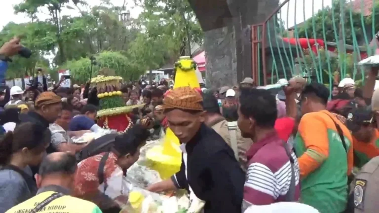 Kerbau-kerbau berlarian panik di Kawasan Konservasi Zambezi, Namibia timur laut.