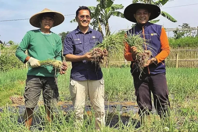 Mantan perwira TLDM Azhar Rosazmi (tengah) dan rekan memamerkan hasil panen bawang.