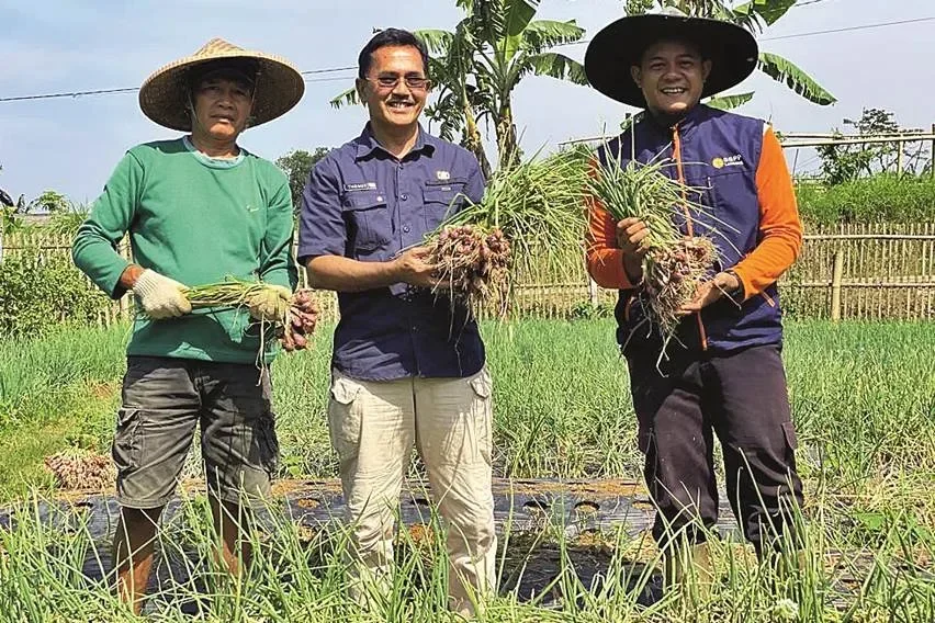Bukan Kaleng-Kaleng! Mantan Perwira Militer Ini Banting Setir Jadi Petani Timun, Panen Ratusan Kilo Tiap Hari!