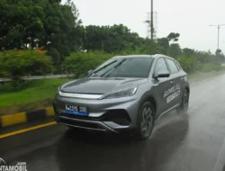 BYD Dolphin Surf Bikin Melongo! SUV Listrik Ini Sabet Bintang 5 Euro NCAP, Aman Parah!