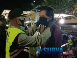 Gara-gara Alpaka, Kafe Ini Didenda Rp 37 Juta dan Tutup Paksa! Kok Bisa?