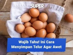 Jangan Pernah Cuci Telur! Ini Trik Peternak Bikin Telur Awet Lebih Lama, Kamu Wajib Tahu!