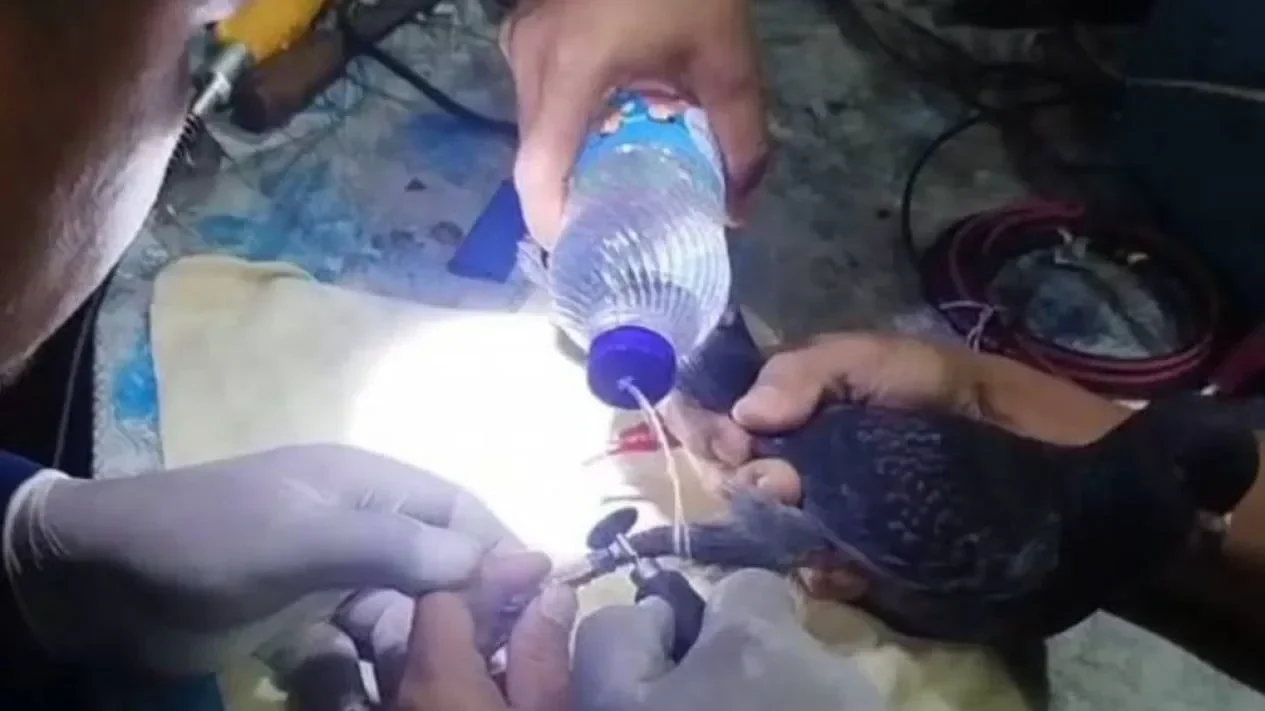 Jari Bengkak Parah Akibat Cincin Nyangkut, BPBD Tangerang Beraksi di RS: Warganet Heboh, Salut Banget!