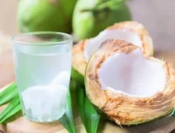 Kamu Suka Air Kelapa? Hati-hati, 6 Kelompok Ini Wajib Batasi Minumnya!