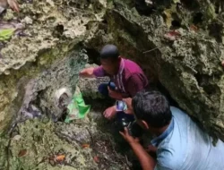 Pembunuh Bocah 5 Tahun dalam Karung di Konawe Selatan Diringkus: Motifnya Bikin Geleng-Geleng!