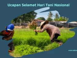 Petani Pahlawan Tak Terlihat: Menguak Kisah Epik Nasi di Piringmu Saat Hari Tani Nasional!
