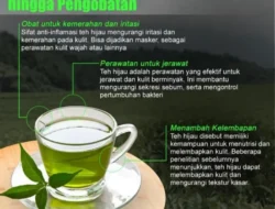 STOP Buang Kantong Teh Hijau Bekas! 5 Life Hacks Ini Bikin Kamu Auto Glowing & Rumah Bersih Maksimal