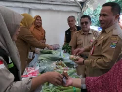 Tangerang Bikin Gebrakan! Beras 5KG Cuma Rp55 Ribu, Warga Auto Senyum di Tengah Kenaikan Harga!