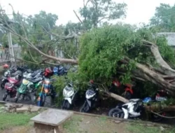 Tangerang Dihantam Badai Dahsyat! Puluhan Pohon Tumbang, Kota Lumpuh Sejenak, Warga Diminta Waspada!
