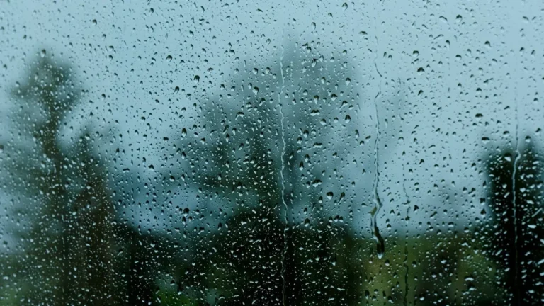 Tetes hujan di kaca jendela, latar belakang pepohonan saat cuaca mendung.