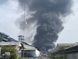 Tangsel Mencekam! Pabrik dan Toko Bahan Bangunan Ludes Dilalap Api, Asap Hitam Bikin Panik Warga!