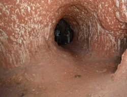 Terkuak! Misteri Terowongan Raksasa Brasil: Bukan Manusia, Bukan Alam, Tapi ‘Monster’ Purba Ini!