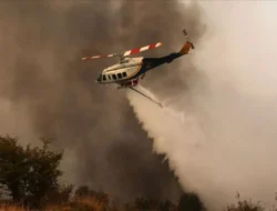 Terkuak! Pelaku Pembunuhan Sadis Pacitan Ditemukan Tewas Mengenaskan di Hutan