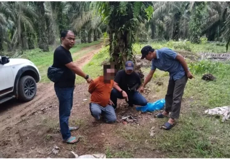 TERKUAK! Pembunuh Sadis Pacitan Ditemukan Tewas Membusuk di Hutan, Kisah Tragis Arif Setiawan Berakhir di Jurang