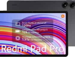 TERUNGKAP! Xiaomi Pad 8 & Pad 8 Pro Resmi Hadir: Layar ‘Gila’, Performa ‘Monster’, Harga ‘Menggoda’!