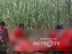 Viral! Kerangka Manusia Ditemukan di Lahan Proyek Perumahan Tangerang, Ternyata Ada Kisah Tak Terduga!