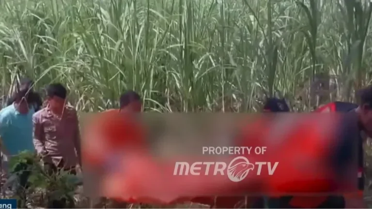 Warga dan petugas di lokasi penemuan kerangka manusia di Sindang Jaya.