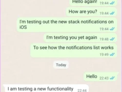 WhatsApp Bikin Geger! Fitur Terjemahan Pesan Otomatis Hadir, Ngobrol Lintas Bahasa Nggak Pake Ribet Lagi!