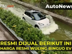 Wujud Binguo S yang Dijual Mulai Rp 150 Jutaan