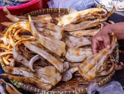 Cuma 2 Hari! 3 Chef Pastry Bintang Lima Jakarta Kolaborasi Ciptakan Dessert Paling Inovatif, Siap Bikin Kamu Melongo di St. Regis!