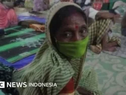 Fenomena Ekstrem Laut Merah: Dari Gurun Asin Jadi Lautan Hidup! Kisah Jutaan Tahun Lalu yang Bikin Gak Nyangka!