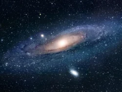 Galaxy S26 Bikin Gak Habis Fikir! Kamera Selfie-nya Gitu-Gitu Aja, Samsung Lupa Pernah Punya 40MP?