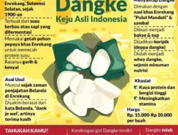 Keju Indonesia Rasa Sultan? Dangke Enrekang, Hidden Gem Kuliner yang Bikin Kamu Gagal Move On!