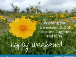 Makan Berdua Cuma Bayar Satu? Promo B1G1 Trans F&B Bikin Dompet Aman Sampai 2025!