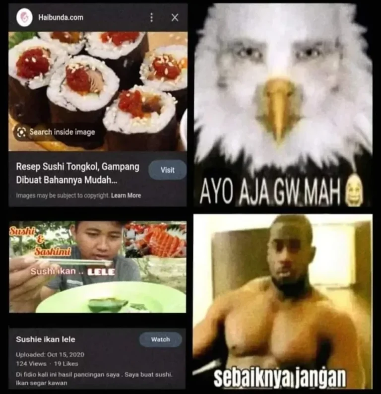 Kolase meme: Resep sushi tongkol dan lele, disertai reaksi 'ayo saja' dan 'sebaiknya jangan'.