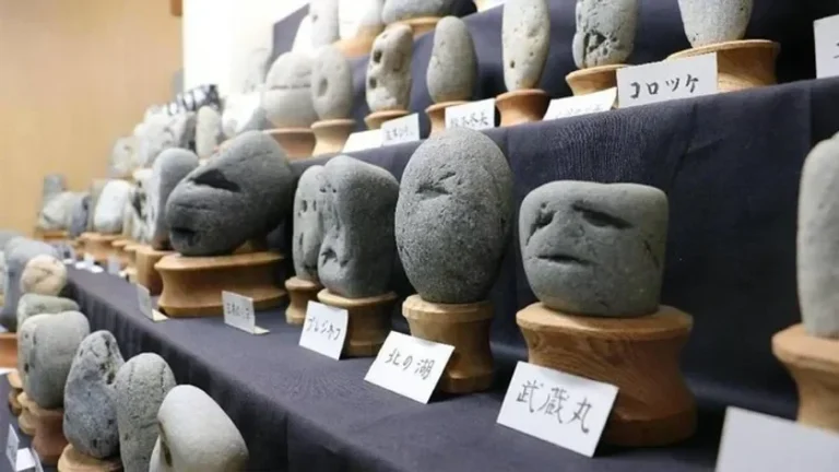 Barisan batu alam unik menyerupai wajah manusia dipamerkan di sebuah koleksi seni.