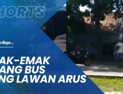 Viral! Konvoi Nmax Bikin Ulah, Nekat Hadang Bus di Tikungan Berbahaya, Ini Kata Pakar!