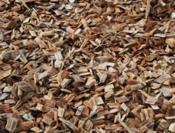 Kontraktor Playground di Tangerang Berpengalaman: Solusi Aman, Estetik, dan Tahan Lama untuk Area Bermain Anak