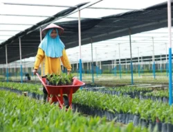 Astra Agro Perkuat Daya Saing Sawit Lewat Riset dan Inovasi Berkelanjutan