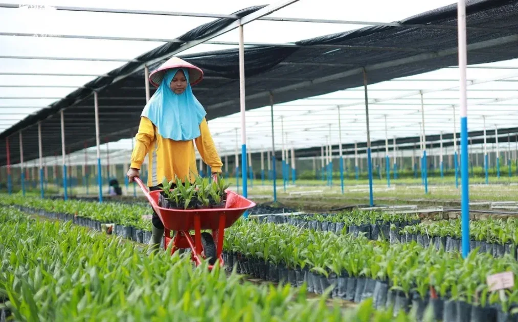 Astra Agro Perkuat Daya Saing Sawit Lewat Riset dan Inovasi Berkelanjutan
