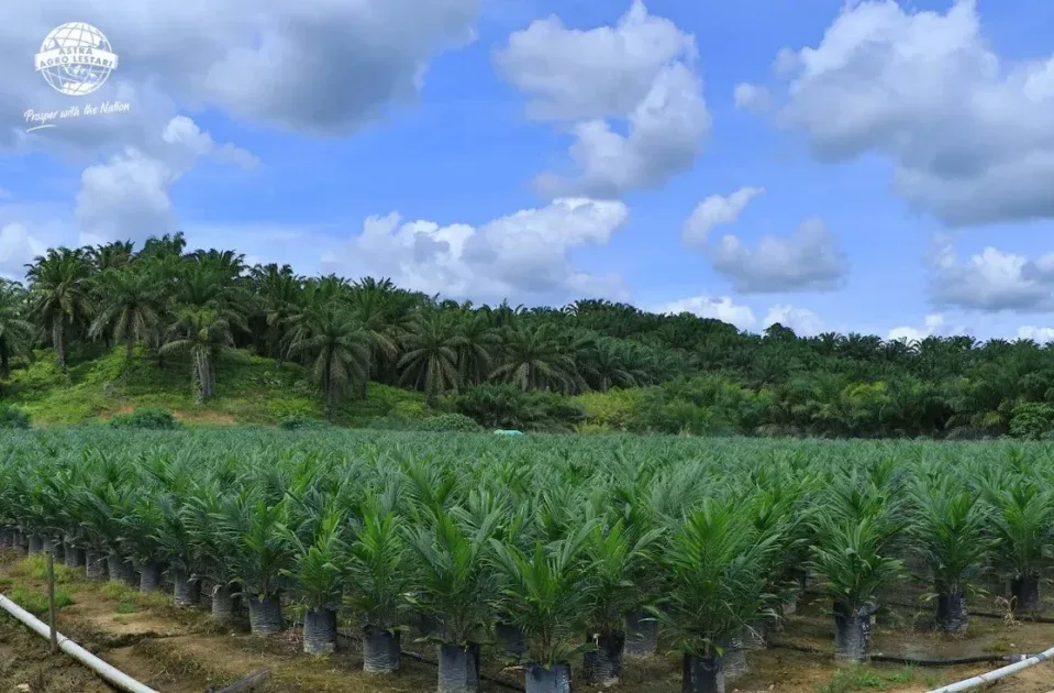 Varietas Bibit Unggul Tahan Penyakit