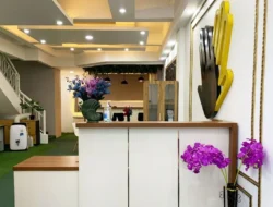 Hive Five: Mitra Profesional Pengurusan Legalitas Perusahaan di Indonesia